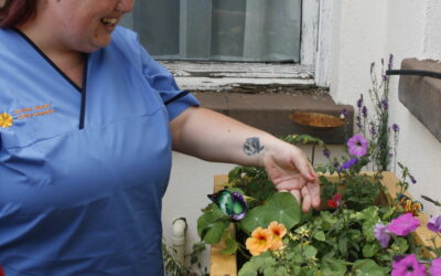 Growing a Greener Future: Our Green Agenda in Action